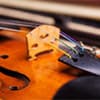 Photo of Strings