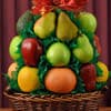 Photo of Just Fruit