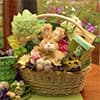 Photo of Easter Baskets