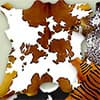 Photo of Miniature Cowhides