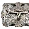 Photo of Classic Buckles