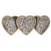 Photo of Hair Accessories
