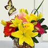 Photo of Flowers