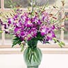 Photo of Orchids