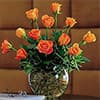 Photo of Roses