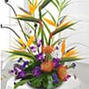 Photo of Tropicals 