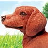 Photo of Dogs & Cats