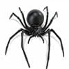 Photo of Insects