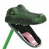 Photo of Reptiles