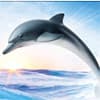 Photo of Sea Life