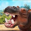 Photo of Wildlife