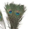 Photo of Embellishments