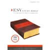 Photo of Bibles