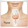 Photo of Thyroid Health