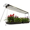Photo of Grow Lighting