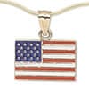 Photo of Americana