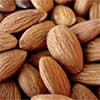 Photo of Nut Trees