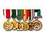 Photo of Medal & Ribbon Mounting