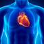 Photo of Cardiovascular & CoQ10 Support