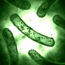 Photo of Immune Support