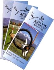 Agilite - Agility for Dogs