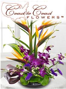 Coast to Coast Floral