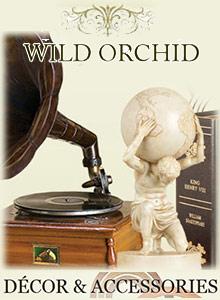 Wild Orchid