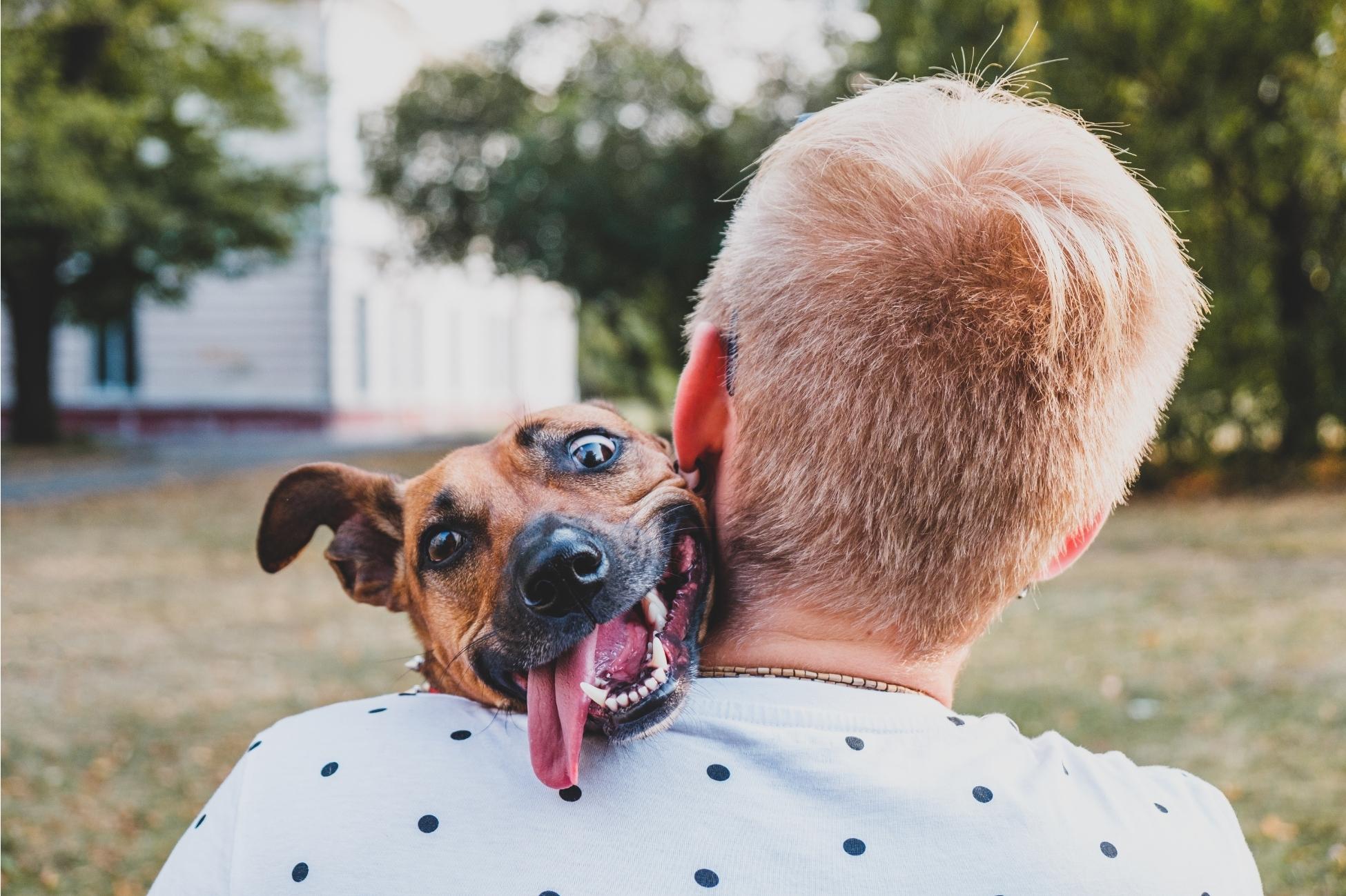 The Most Creative Gifts for Dog Lovers