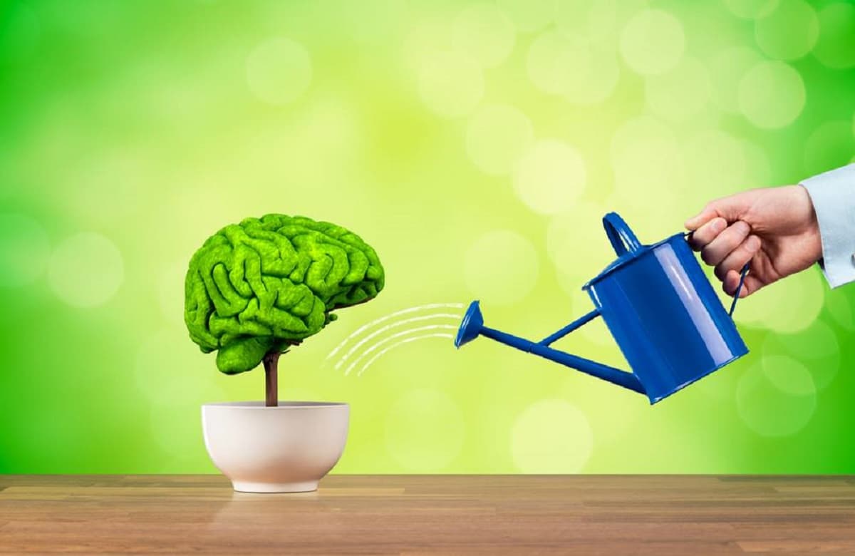 Tips to Improve Your Memory