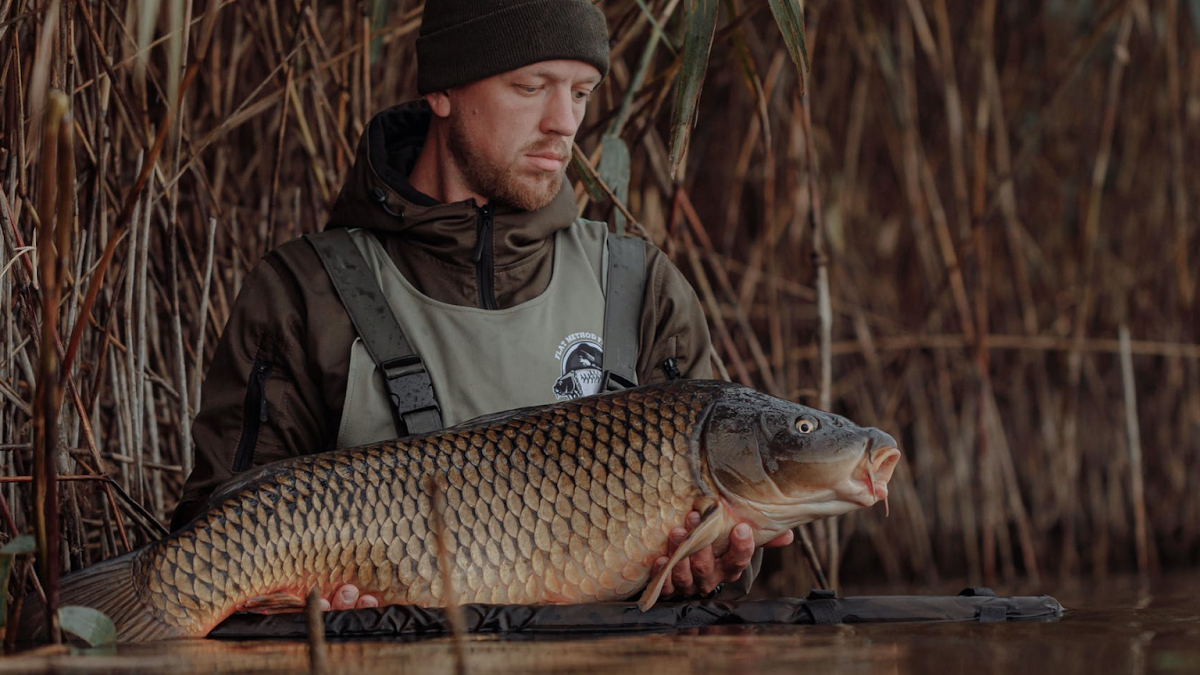 6 Tips for Fishing on Rainy Days: Advice to Master Fishing in Wet Weather