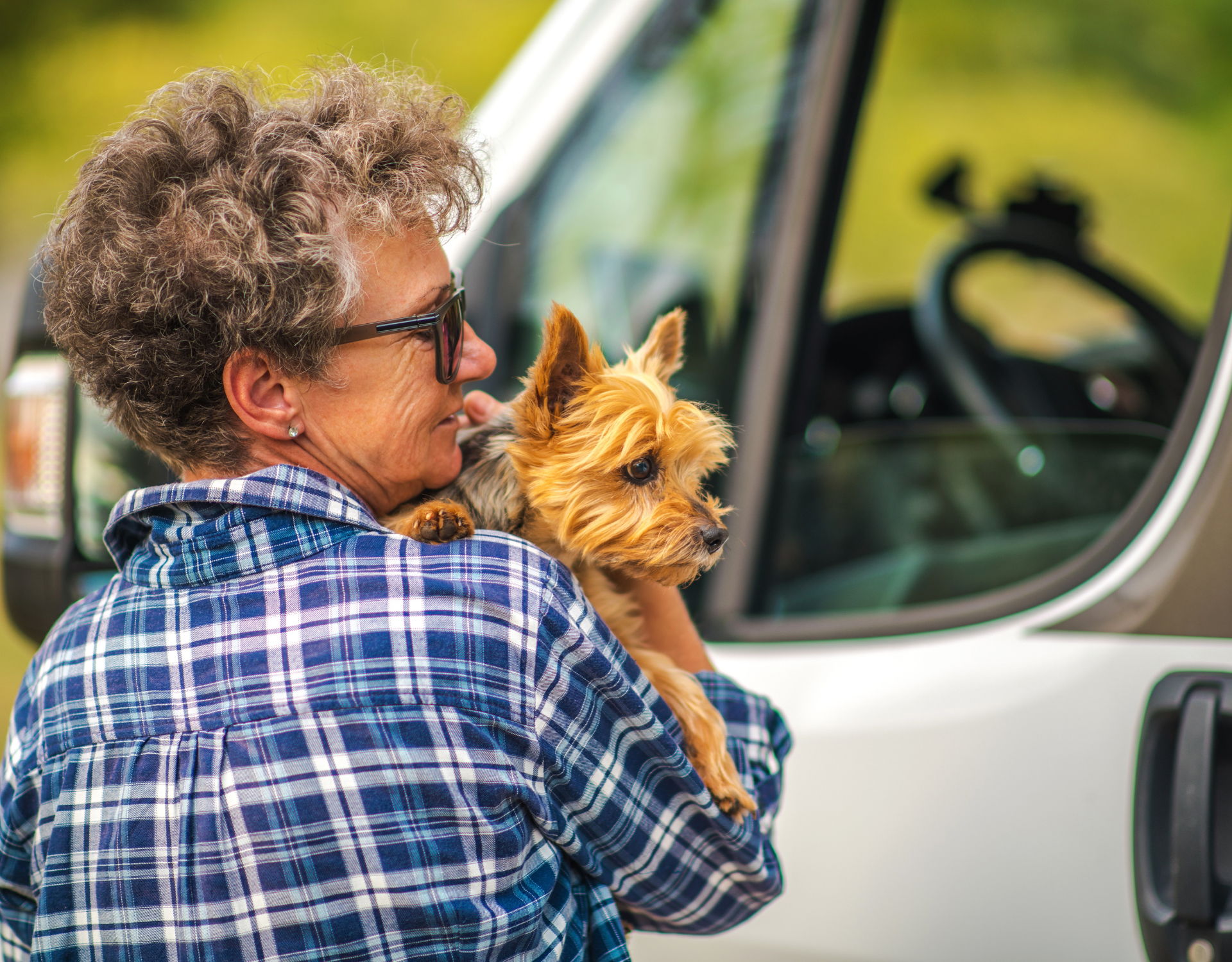 How to Protect your Car when Traveling with Pets
