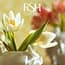Photo of Home Page