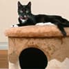 Photo of Cat Supplies