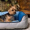 Photo of Dog Beds