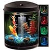 Photo of Fish Tanks