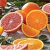 Photo of Fresh Fruit