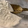 Photo of Flour, Pasta & Grains