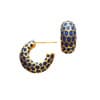Photo of Earrings