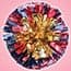 Photo of Poms