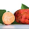 Photo of Sweet Potato Slips