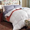 Photo of Comforters