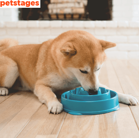 Petstages