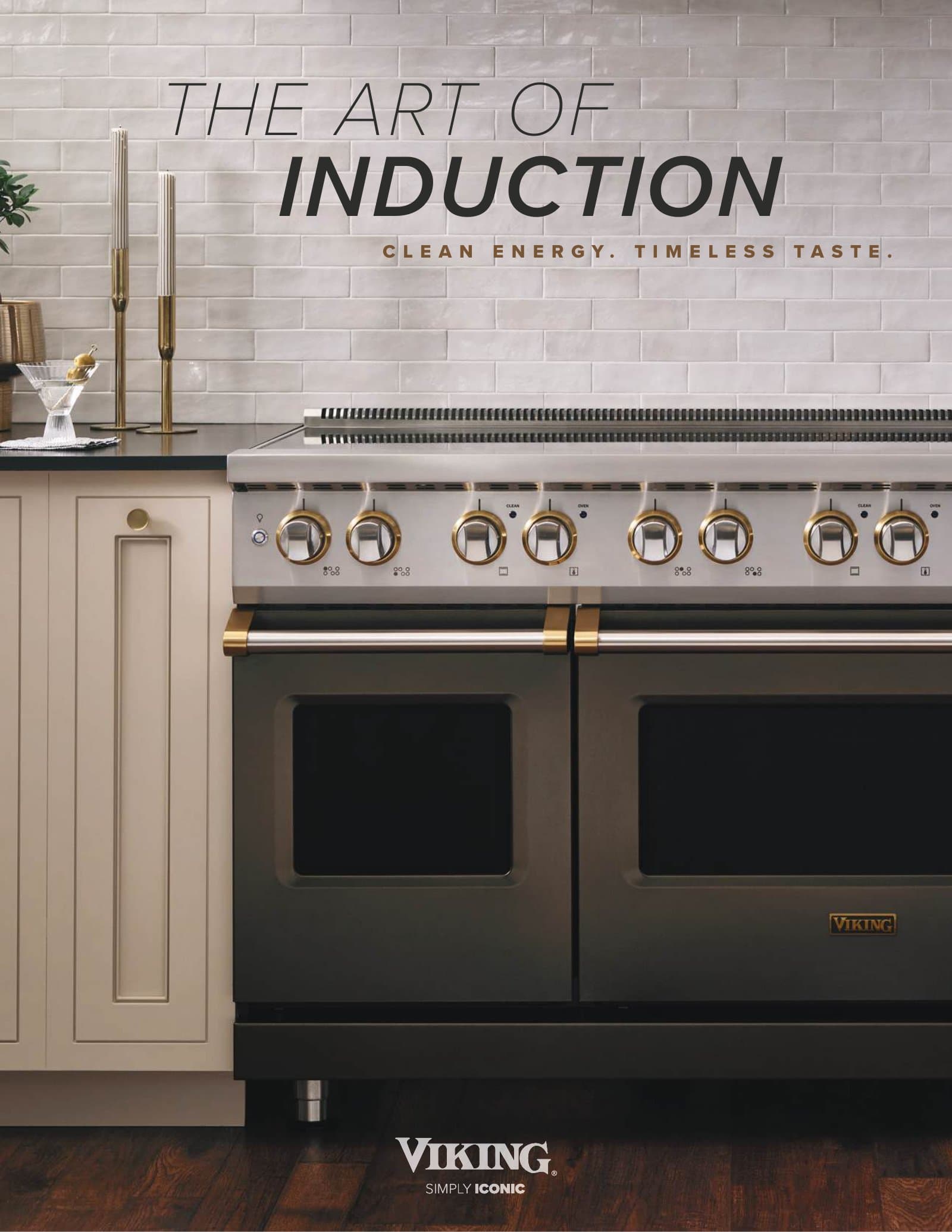 Viking — The Art of Induction