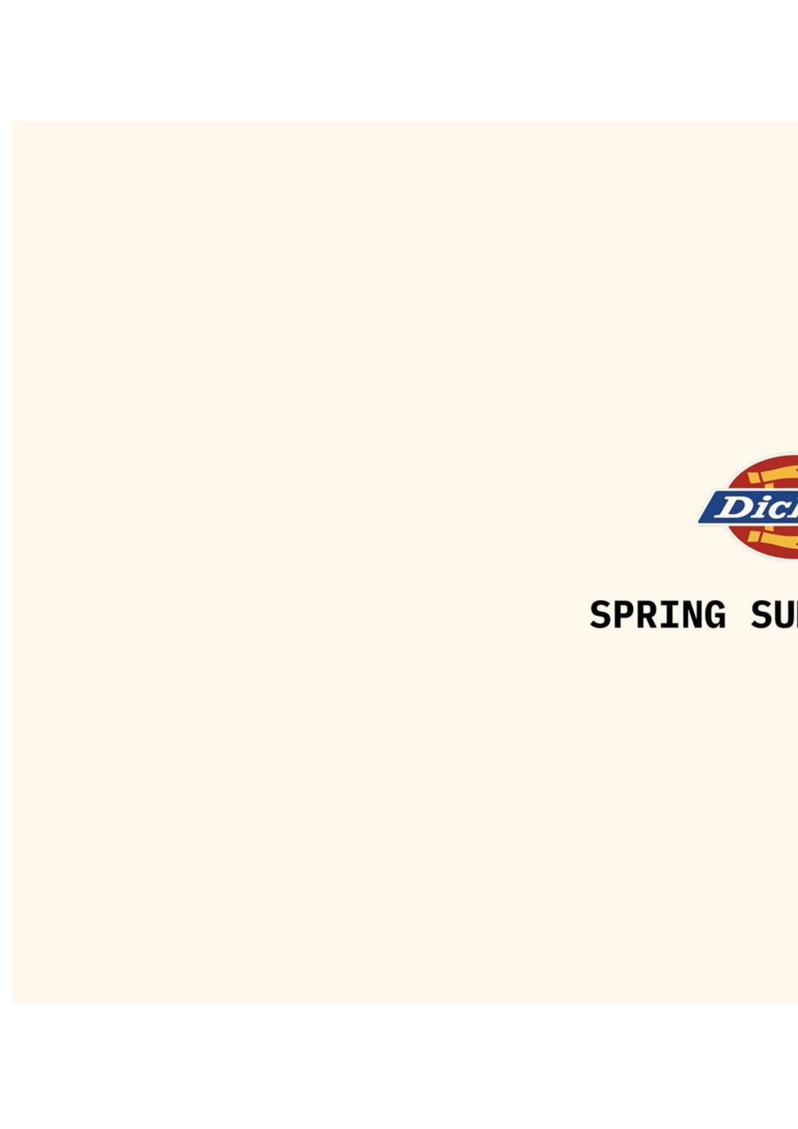 Dickies SS25 Men's Catalog
