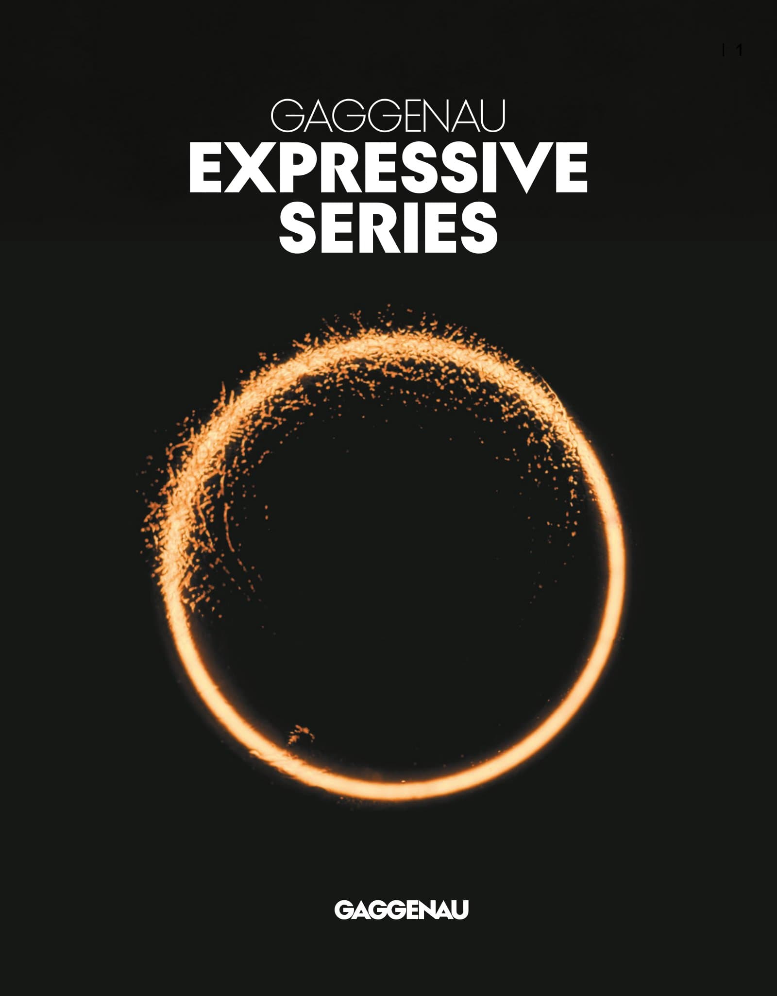 Gaggenau Expressive Product Brochure