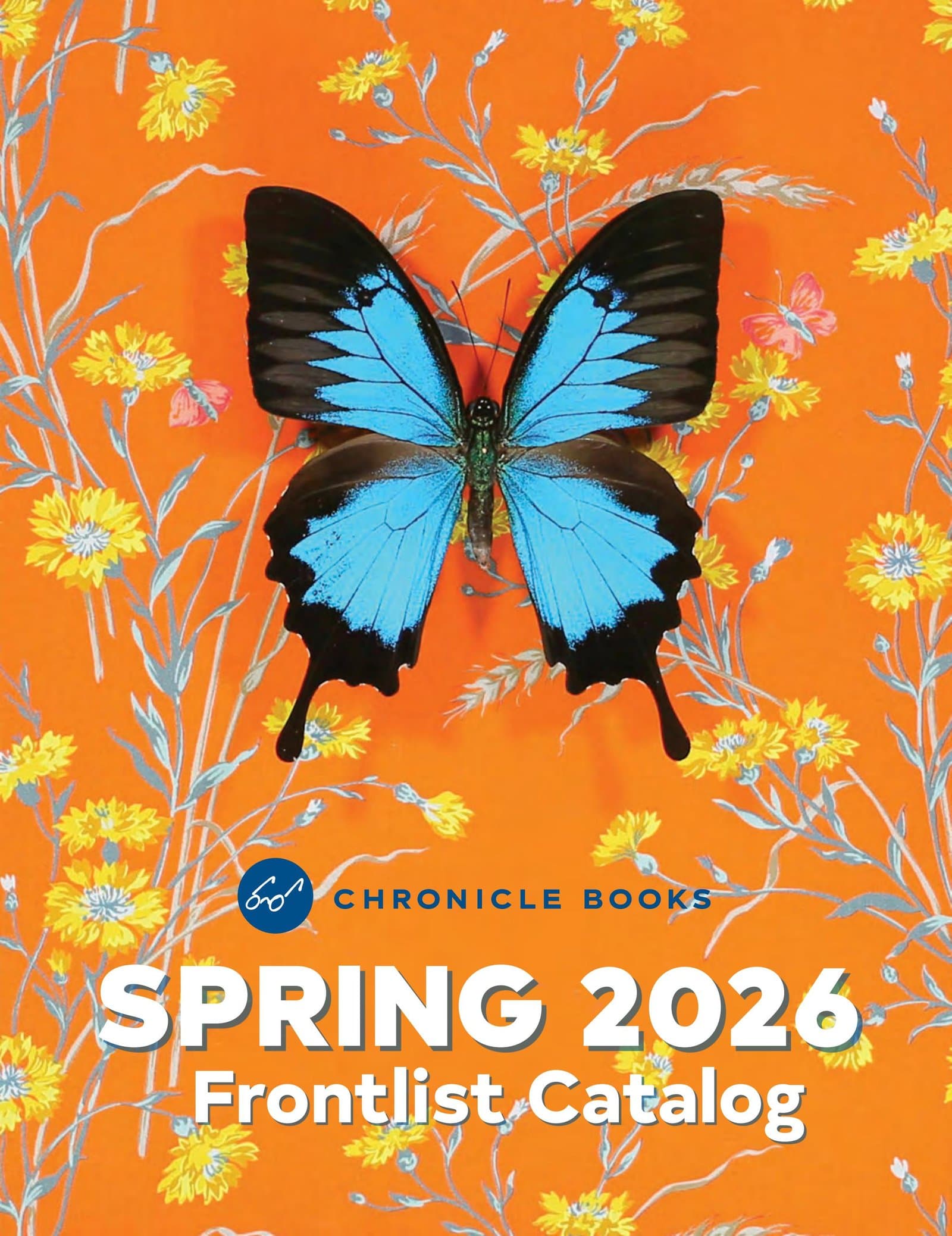 Chronicle Books Children's Spring 2026 Catalog