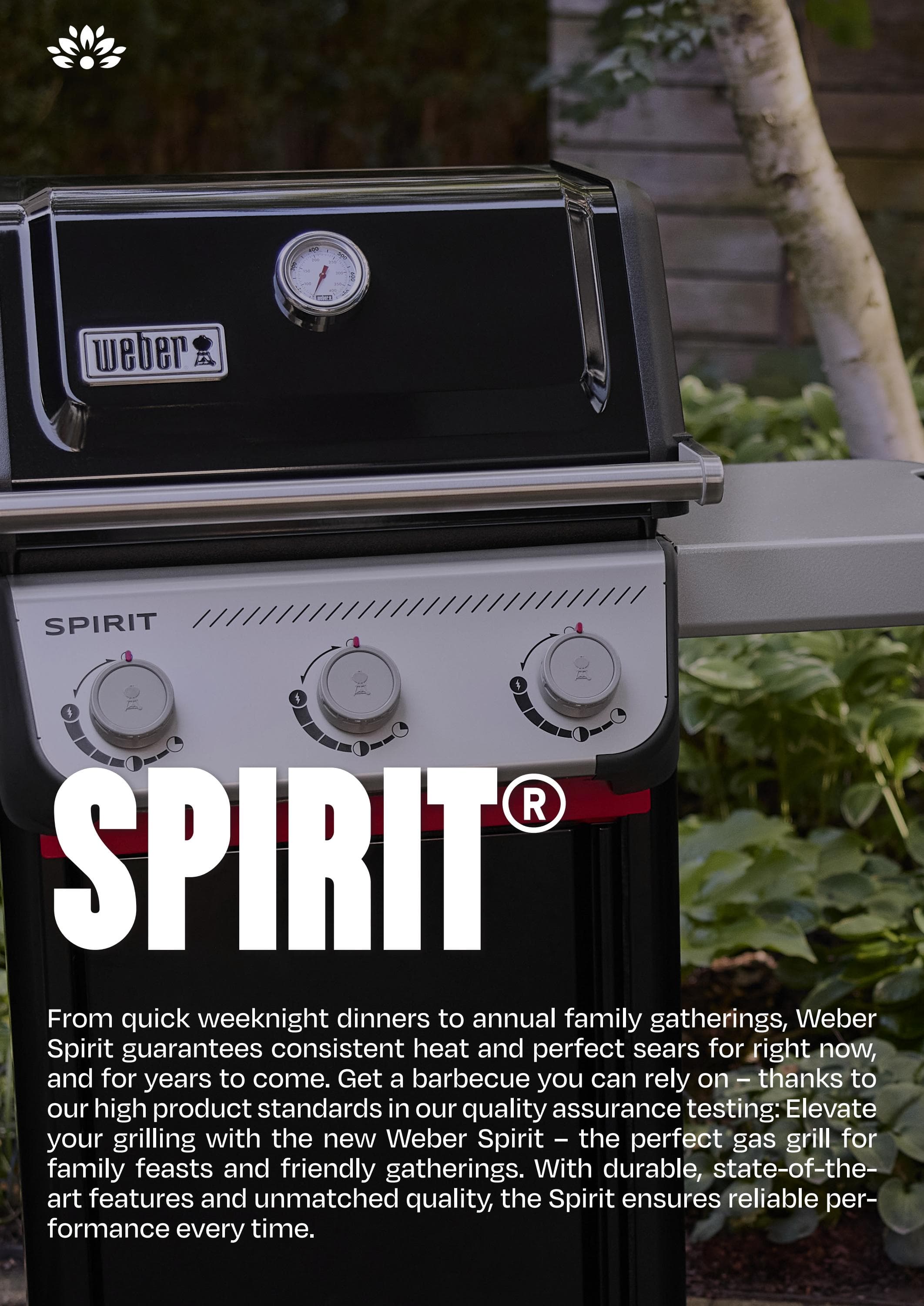 Weber Grills 2025 Catalogue