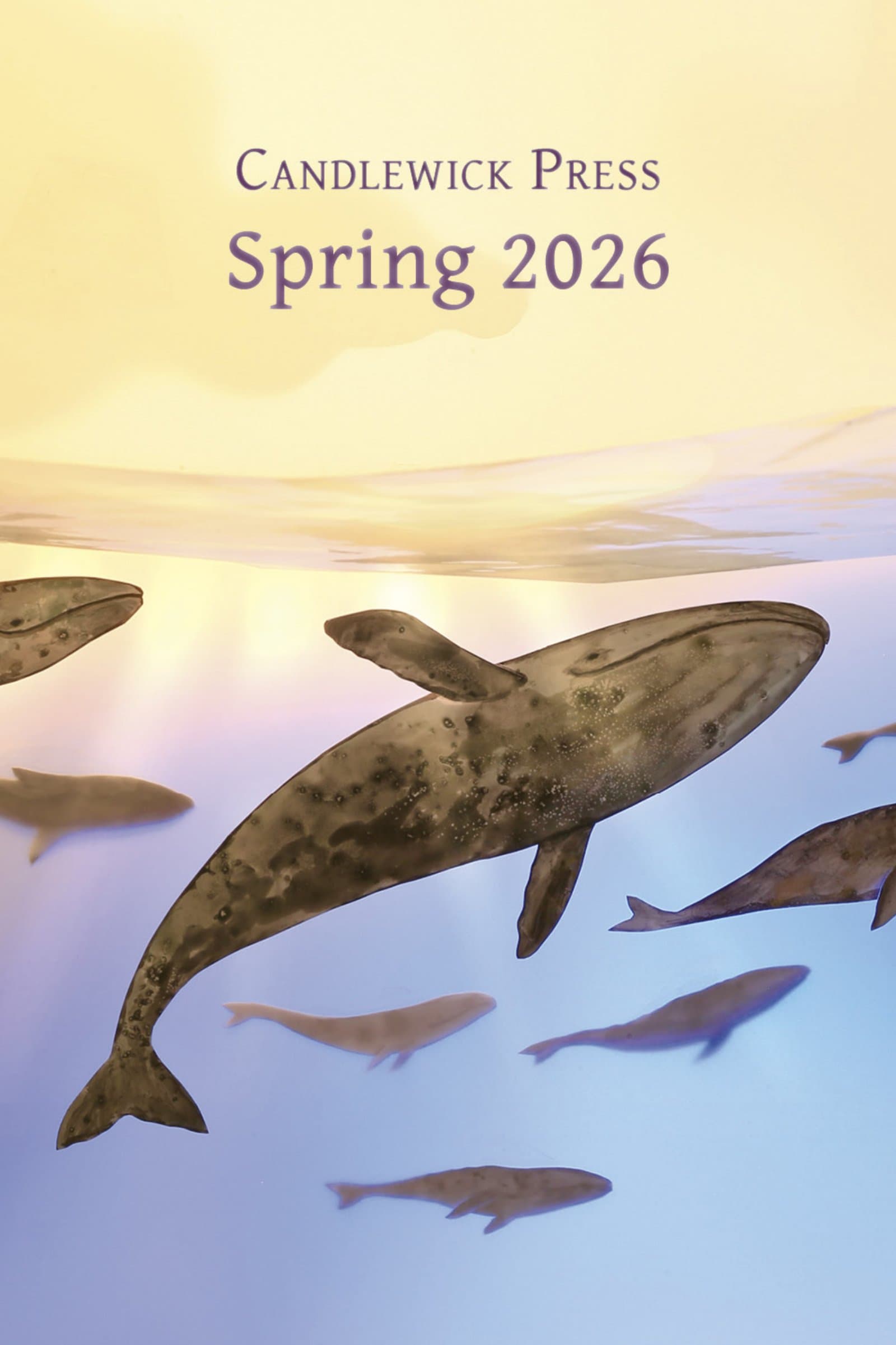 Candlewick Press Spring 2026 Catalog