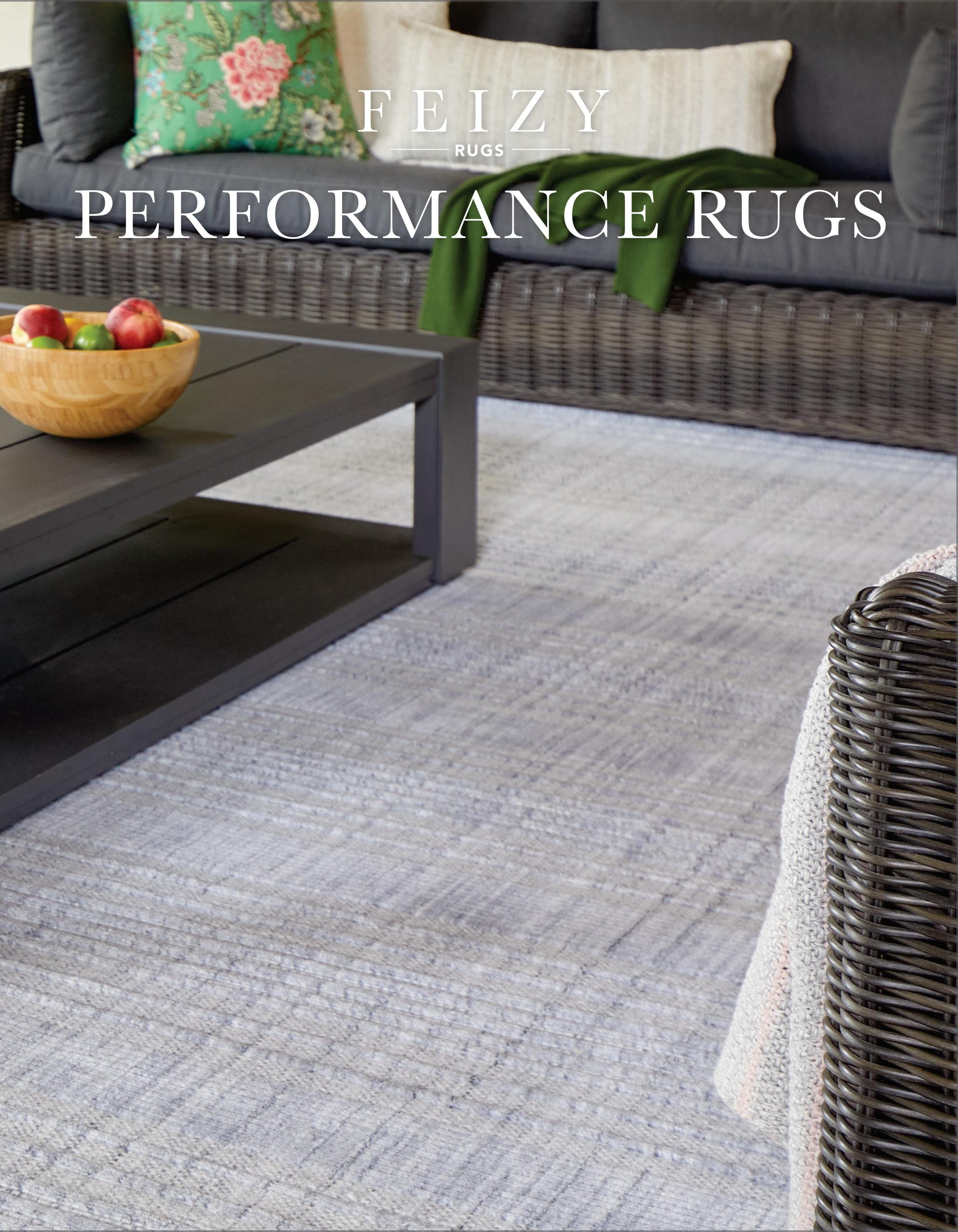 Feizy Performance Rugs Catalog