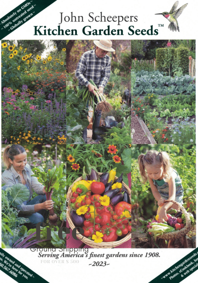 Kitchen Garden Seeds